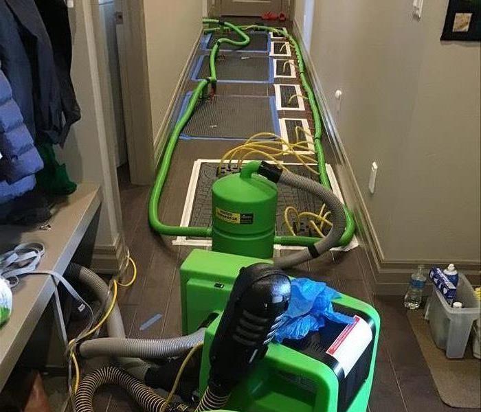 green drying equipment in a hallway